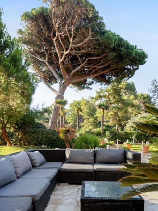 Superbe Appartement 50M De La Plage En Bord De Mer Hyeres Luaran gambar