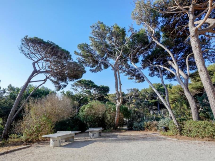 Superbe Appartement 50M De La Plage En Bord De Mer Hyeres Luaran gambar